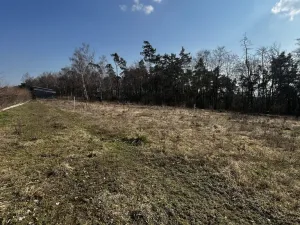 Prodej rodinného domu, Snědovice - Strachaly, 100 m2