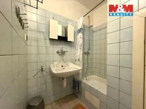 Pronájem ubytování, Vysoké nad Jizerou, Lyžařská, 3200 m2