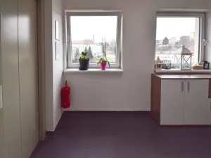 Pronájem bytu 2+kk, Plzeň - Jižní Předměstí, Plynární, 60 m2