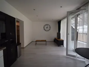 Pronájem bytu 2+kk, Plzeň - Jižní Předměstí, Plynární, 60 m2