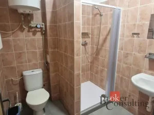 Pronájem historického objektu, Plzeň, Plovární, 150 m2