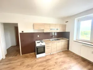 Prodej bytu 1+1, Bor, 32 m2