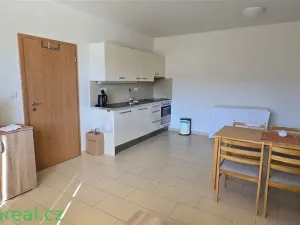Prodej rodinného domu, Brod nad Dyjí, 34 m2