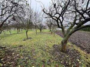 Prodej zahrady, Říkovice, 730 m2