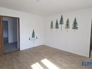 Prodej rodinného domu, Bělá pod Pradědem - Domašov, 228 m2