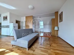 Pronájem bytu 1+kk, Bílovice nad Svitavou, Šebelova, 51 m2
