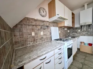 Pronájem bytu 1+kk, Bílovice nad Svitavou, Šebelova, 51 m2