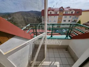 Pronájem bytu 1+kk, Bílovice nad Svitavou, Šebelova, 51 m2