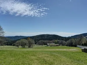 Prodej chalupy, Strážné, 793 m2
