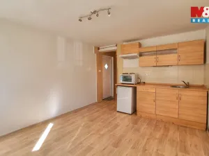Pronájem bytu 1+kk, Liberec - Liberec X-Františkov, Řídkého, 20 m2