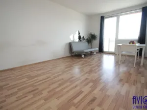 Pronájem bytu 1+kk, Praha - Vysočany, Freyova, 34 m2