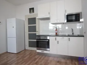 Pronájem bytu 1+kk, Praha - Vysočany, Freyova, 34 m2