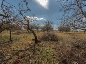 Prodej pozemku pro bydlení, Skalice, 1000 m2