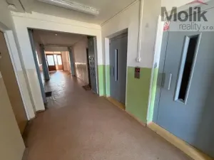 Prodej bytu 1+1, Most, Rozmarýnová, 36 m2