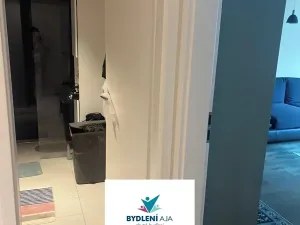 Pronájem bytu 2+kk, Praha - Vršovice, Archangelská, 59 m2