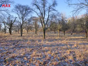 Prodej pozemku pro bydlení, Březnice, 1860 m2