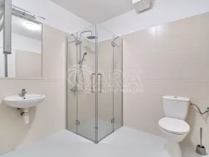 Pronájem bytu 2+kk, Ostrava - Mariánské Hory, Jiřího Trnky, 44 m2