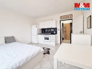 Pronájem bytu 1+kk, Karlovy Vary - Drahovice, Gagarinova, 20 m2
