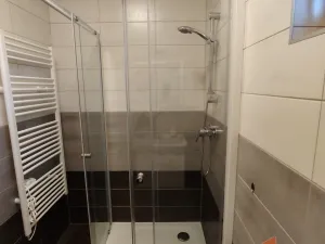 Prodej rodinného domu, Orlické Záhoří, 184 m2