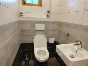 Prodej rodinného domu, Orlické Záhoří, 184 m2