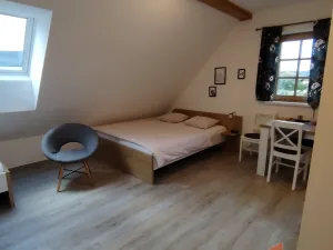 Prodej rodinného domu, Orlické Záhoří, 184 m2