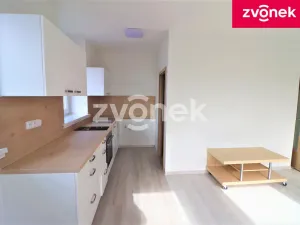 Pronájem bytu 1+kk, Valašské Klobouky, 35 m2