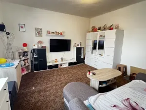 Prodej bytu 1+1, Křešice, Kolonie, 59 m2