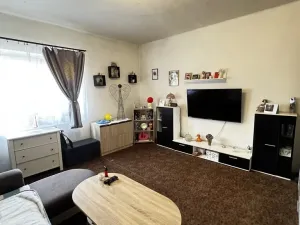 Prodej bytu 1+1, Křešice, Kolonie, 59 m2