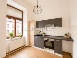 Pronájem bytu 1+1, České Budějovice - České Budějovice 6, Žižkova tř., 47 m2
