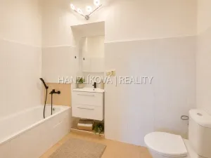 Pronájem bytu 1+1, České Budějovice - České Budějovice 6, Žižkova tř., 47 m2