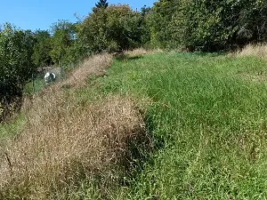 Prodej zahrady, Bojkovice, 1208 m2