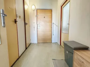 Prodej bytu 1+1, Plzeň, Břeclavská, 39 m2