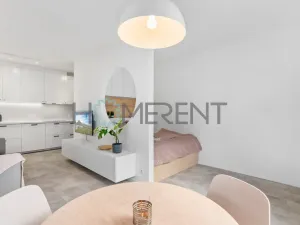 Pronájem bytu 1+kk, Praha - Motol, Jeřabinová, 43 m2