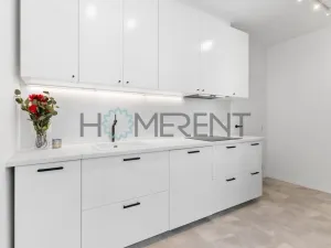 Pronájem bytu 1+kk, Praha - Motol, Jeřabinová, 43 m2