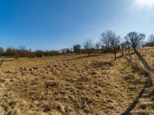 Prodej komerčního pozemku, Lípa, 2603 m2