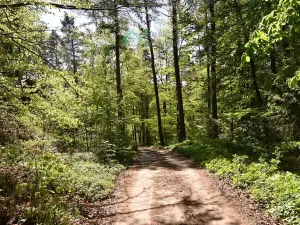 Prodej chaty, Křižanovice, 40 m2