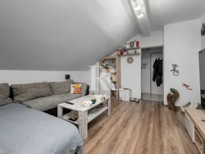 Prodej rodinného domu, Děčín, Březová, 347 m2