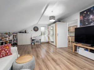 Prodej rodinného domu, Děčín, Březová, 347 m2