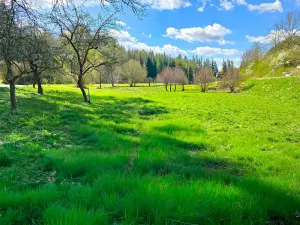 Prodej rodinného domu, Borušov, 236 m2