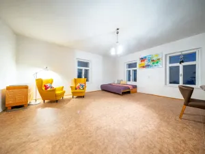 Prodej rodinného domu, Borušov, 236 m2