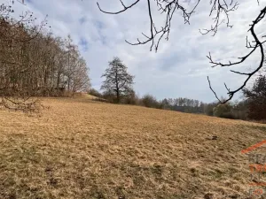 Prodej pozemku pro bydlení, Úhlejov - Chroustov, 12282 m2