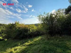 Prodej zahrady, Bílovice nad Svitavou, 589 m2