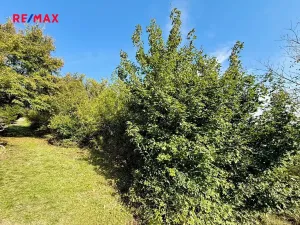 Prodej zahrady, Bílovice nad Svitavou, 589 m2