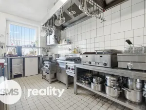 Prodej komerční nemovitosti, Březí, Dunajovická, 476 m2