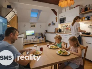 Prodej komerční nemovitosti, Březí, Dunajovická, 476 m2