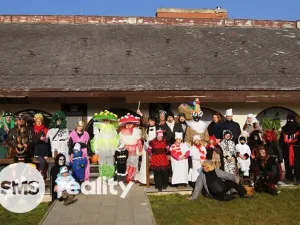 Prodej komerční nemovitosti, Březí, Dunajovická, 476 m2