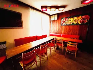 Prodej komerční nemovitosti, Kyjov, 60 m2