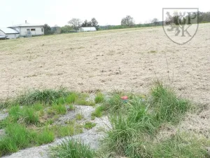 Prodej pozemku pro bydlení, Květov, 8455 m2