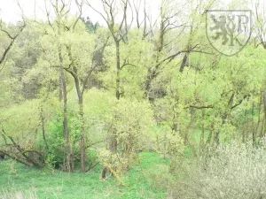 Prodej pozemku pro bydlení, Květov, 8455 m2