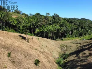 Prodej pozemku, Coxen Hole, Roatán, Honduras, 350 m2